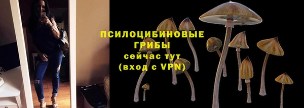экстази Арсеньев