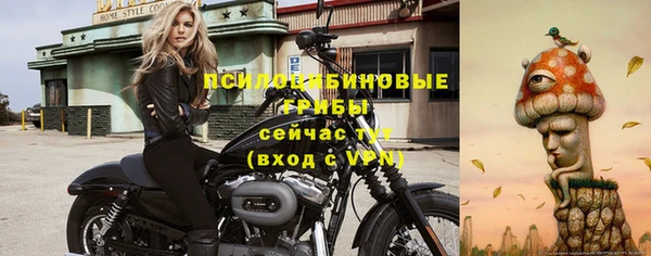 экстази Арсеньев