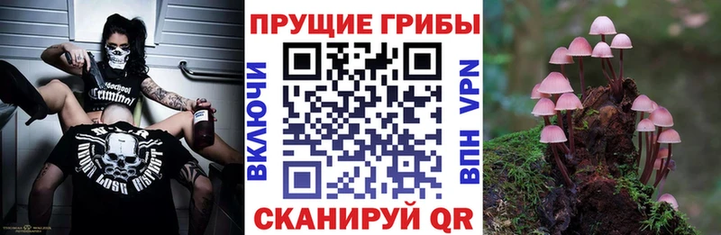 Галлюциногенные грибы MAGIC MUSHROOMS  Тейково 